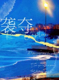 袭夺小说回南雀讲的什么