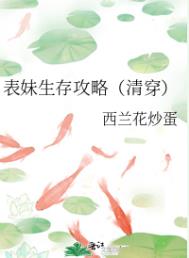 表妹生存攻略清穿西兰花